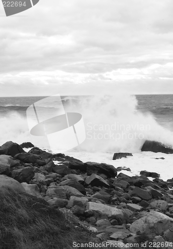 Image of Black and white seascape