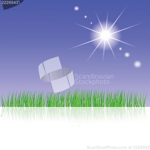 Image of green grass and sun