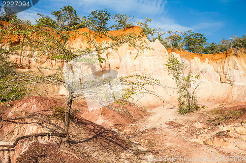 Image of Marafa Canyon - Kenya