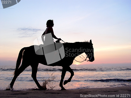 Image of Lone rider at sunset