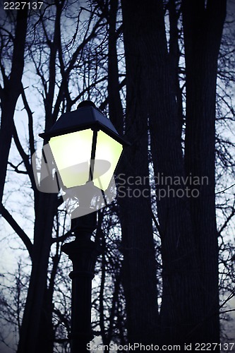 Image of Street light and silhouettes of trees