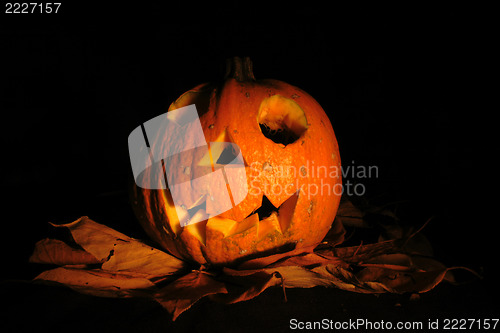 Image of Halloween pumkin 