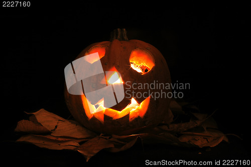 Image of Halloween pumkin 