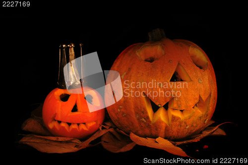 Image of Halloween pumkins on the black background 