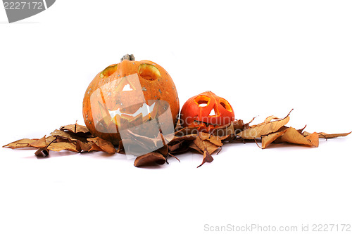 Image of Halloween pumkins on the white background 