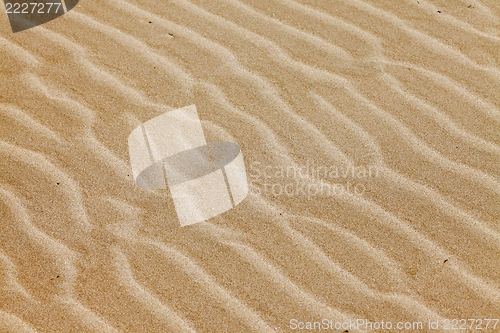 Image of Sandy Beach