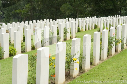 Image of Headstones in a war cemetery

