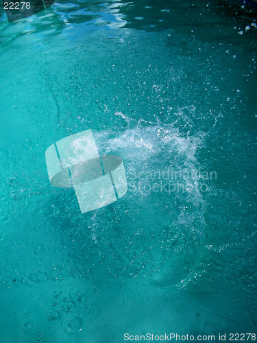 Image of Macro Splash
