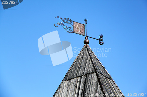 Image of The flag