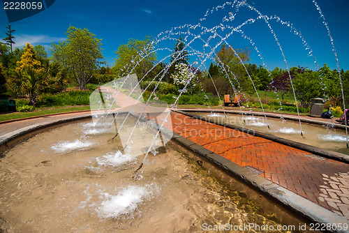 Image of fountain in botanical garden