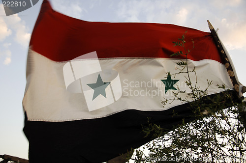 Image of Syrian flag