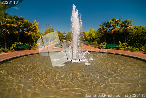 Image of fountain in botanical garden