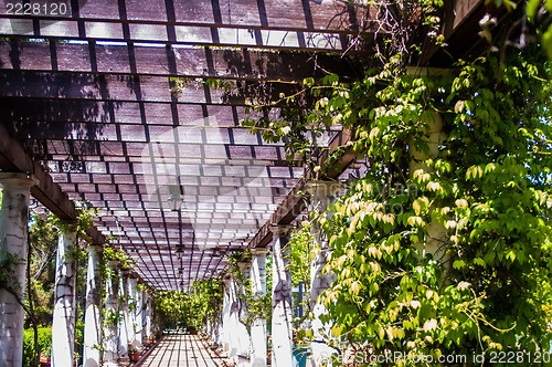 Image of Garden Lattice walkway with stone pavers and vine flowers throug