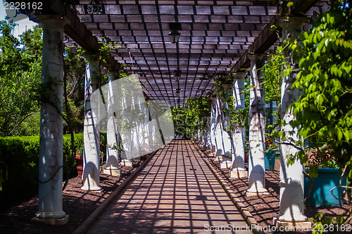 Image of Garden Lattice walkway with stone pavers and vine flowers throug