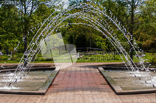 Image of fountain in botanical garden