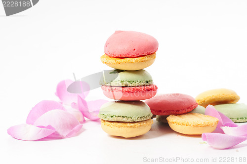 Image of Rose petals and macaron cookies