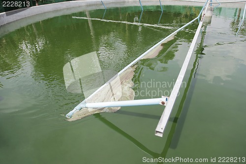 Image of Spirulina harvesting