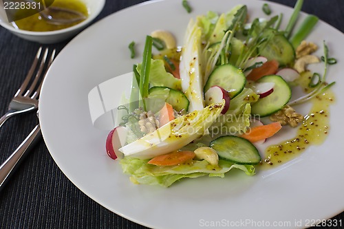Image of Salad of spring vegetables