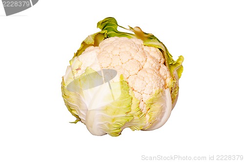 Image of Cauliflower