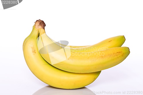 Image of Bananas