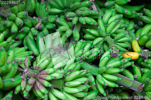 Image of Bunches of green bananas in east market