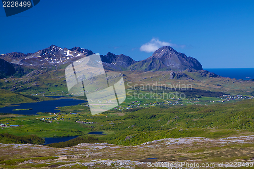 Image of Lofoten in summer