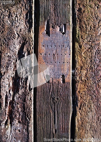 Image of Reclaimed