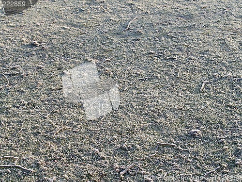 Image of Frost