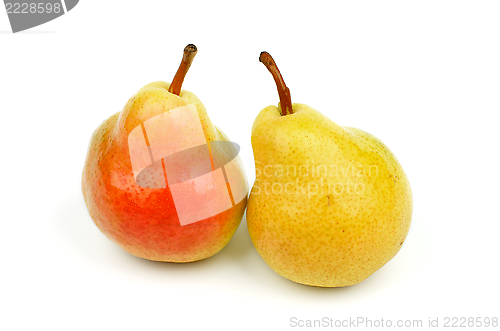 Image of Two Pears