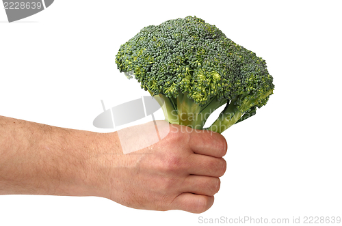 Image of Hand With Broccoli on White