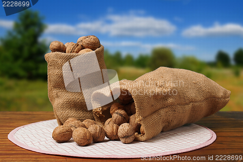 Image of Bag With Nuts On a Table