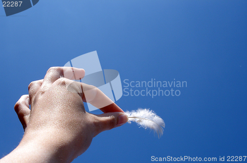 Image of Feather and hand