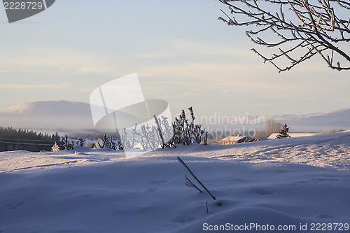 Image of Winter Landscape