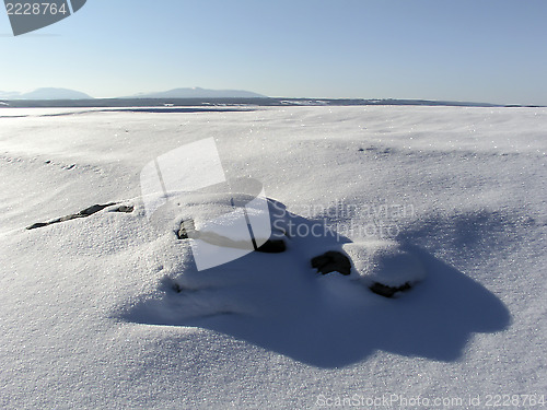 Image of Winter Landscape