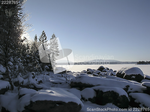 Image of Winter Landscape