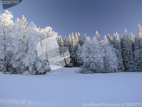Image of Winter Landscape