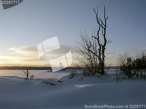 Image of Winter Landscape
