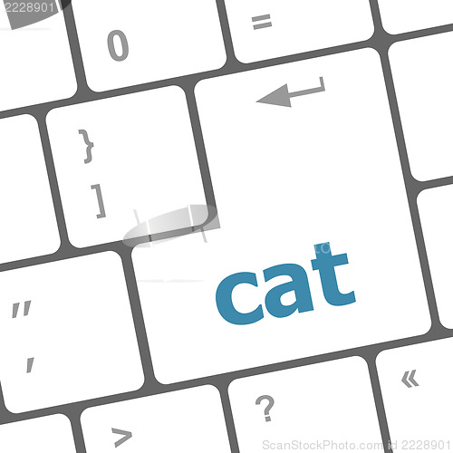 Image of cat word on computer pc keyboard key