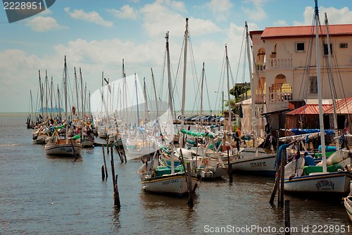 Image of Row of white yachts in the port, Belize City
