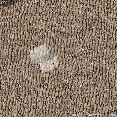 Image of Old Wood. Seamless Texture.