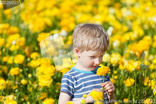 Image of cute boy at the flower field