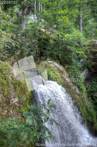 Image of Triberg waterfall