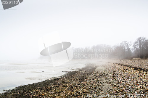 Image of Coast of Baltic sea in a fog