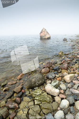 Image of Coast of Baltic sea in a fog