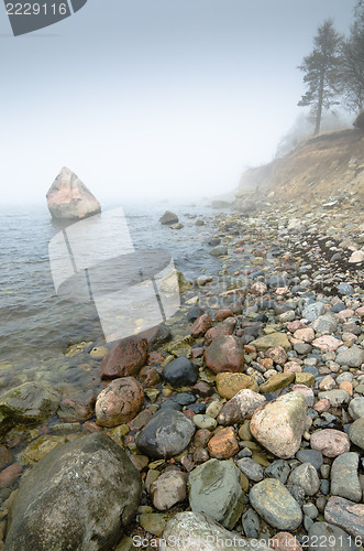 Image of North Estonian limestone shore  in a fog