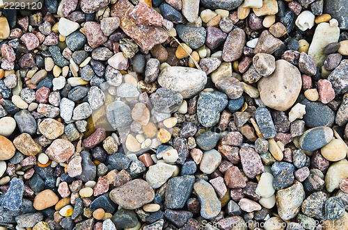 Image of Multi-coloured sea stones, close-up 