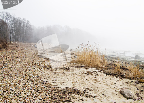 Image of Coast of Baltic sea in a fog