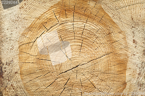Image of Background of split wood