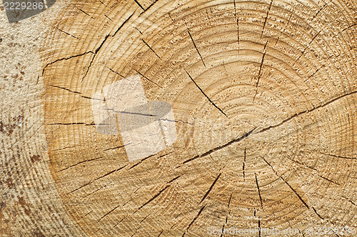 Image of Background of split wood