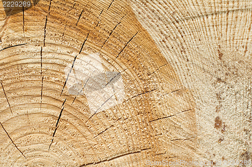Image of Background of split wood